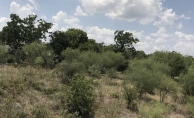 103 W Mitchell, San Antonio, TX 78204 — photo 4
