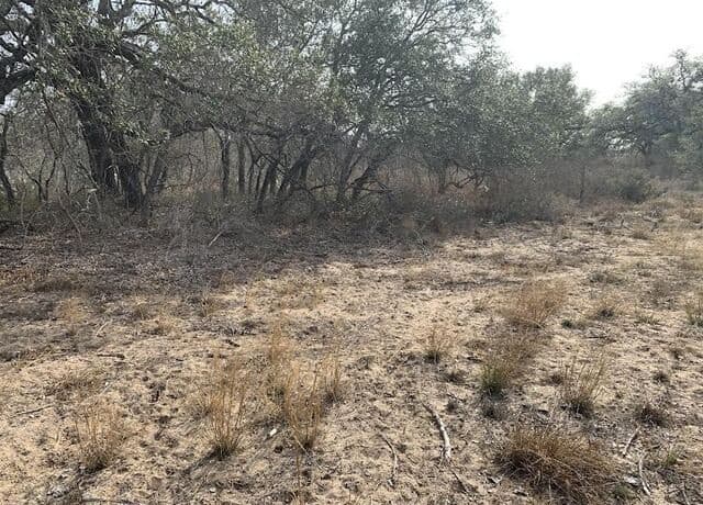 264  Cr 6719, Natalia, TX 78059 — photo 2