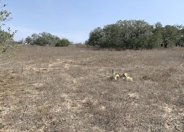 264  Cr 6719, Natalia, TX 78059 — photo 3