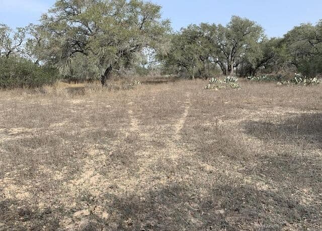 264  Cr 6719, Natalia, TX 78059 — photo 4