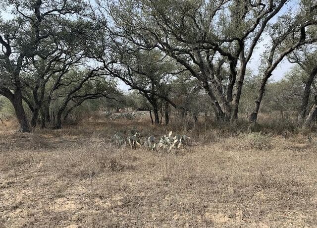 264  Cr 6719, Natalia, TX 78059 — photo 5