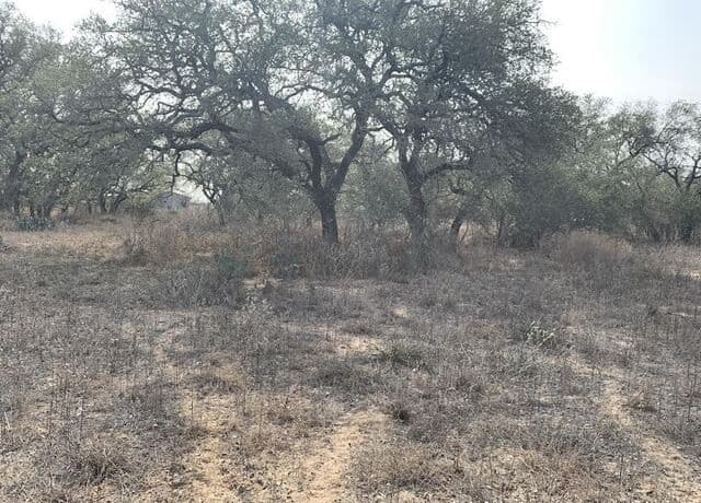 264  Cr 6719, Natalia, TX 78059 — photo 6