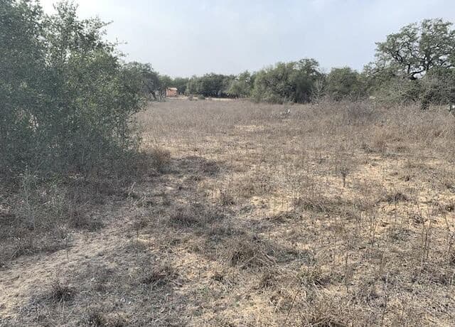 264  Cr 6719, Natalia, TX 78059 — photo 7