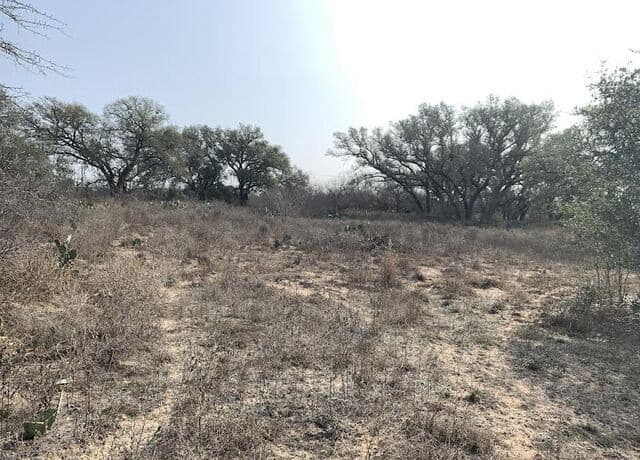 264  Cr 6719, Natalia, TX 78059 — photo 8