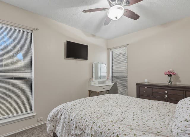 5611  Timber Jack, San Antonio, TX 78250 — photo 20