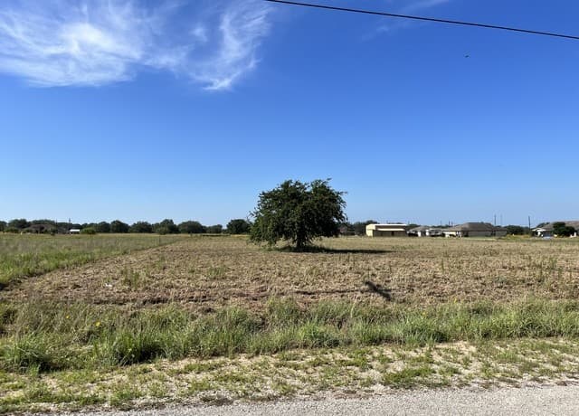 148  Colt, Natalia, TX 78059 — photo 2