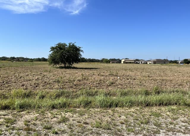 148  Colt, Natalia, TX 78059 — photo 3