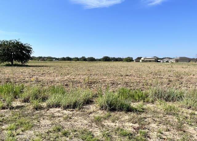148  Colt, Natalia, TX 78059 — photo 4