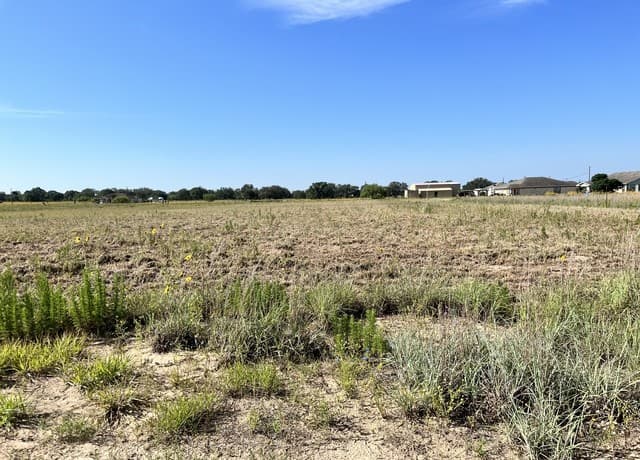 148  Colt, Natalia, TX 78059 — photo 5