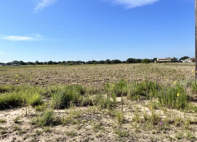 148  Colt, Natalia, TX 78059 — photo 6
