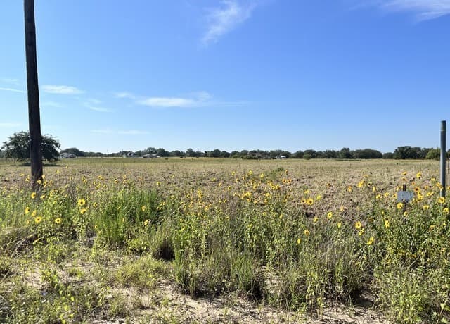 148  Colt, Natalia, TX 78059 — photo 7
