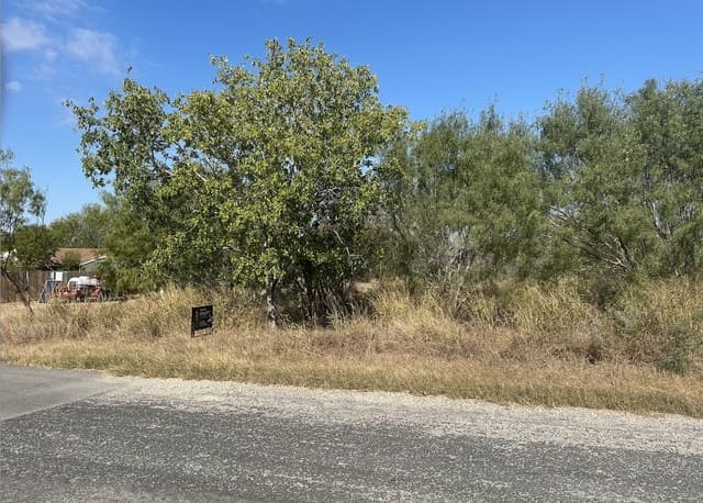 TBD  Olive, Jourdanton, TX 78026 — photo 2