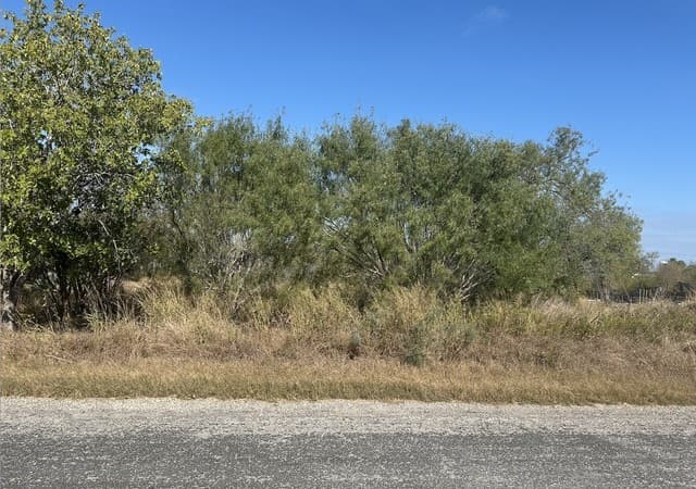 TBD  Olive, Jourdanton, TX 78026 — photo 4