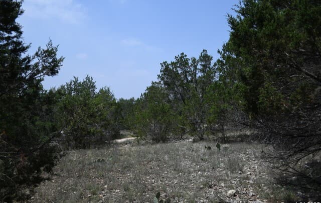 135 Agarita