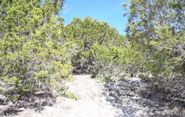 121  Agarita, Spring Branch, TX 78070 — photo 12