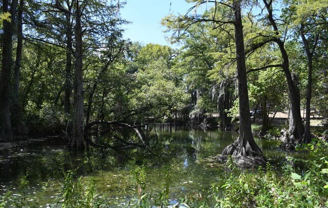 121  Agarita, Spring Branch, TX 78070 — photo 17