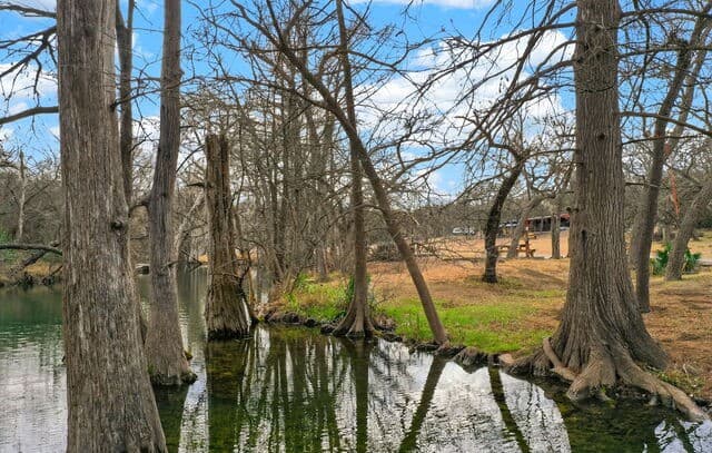121  Agarita, Spring Branch, TX 78070 — photo 22