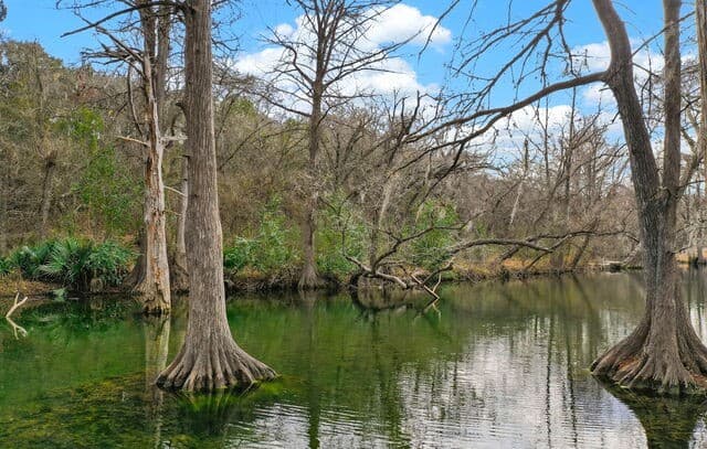 121  Agarita, Spring Branch, TX 78070 — photo 23