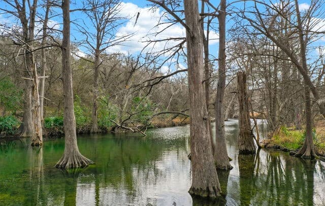 121  Agarita, Spring Branch, TX 78070 — photo 25