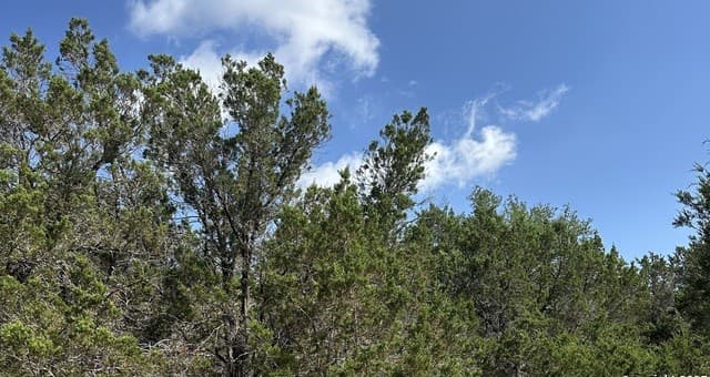 121  Agarita, Spring Branch, TX 78070 — photo 7