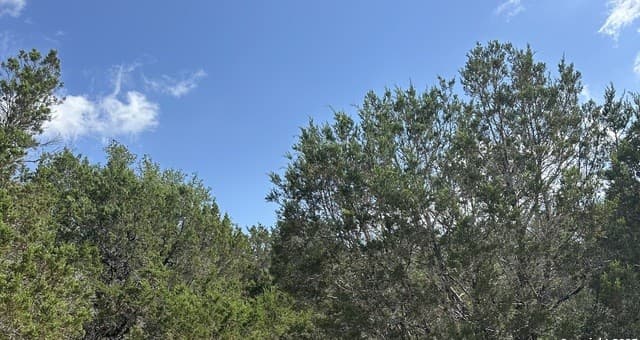 121  Agarita, Spring Branch, TX 78070 — photo 8