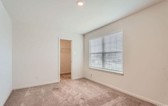 11846 Latour Vly, San Antonio, TX 78252 — photo 19