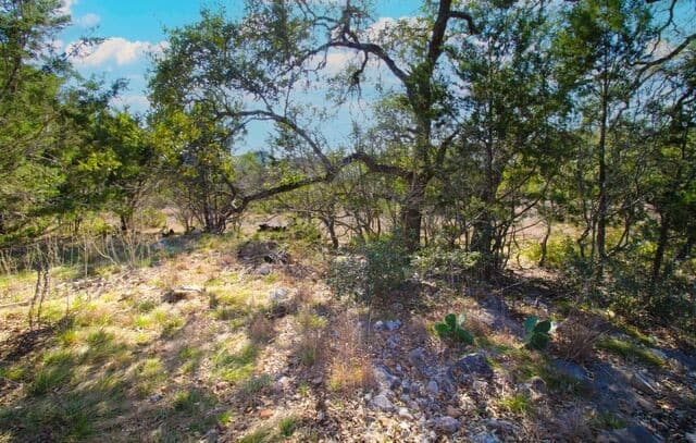 436  Cavy, New Braunfels, TX 78132 — photo 2