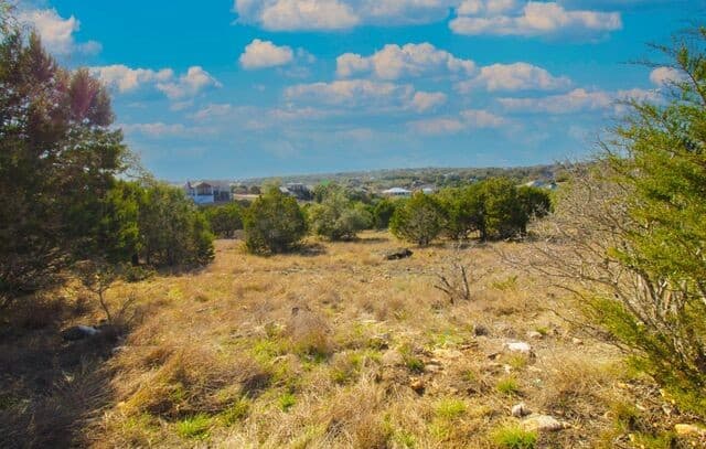 436  Cavy, New Braunfels, TX 78132 — photo 3