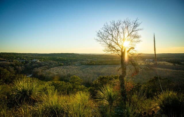 1829  Paradise Parkway, Canyon Lake, TX 78133 — photo 24