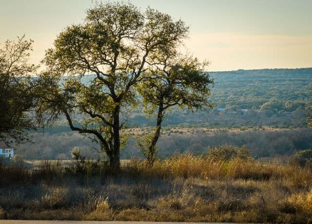 1829  Paradise Parkway, Canyon Lake, TX 78133 — photo 5