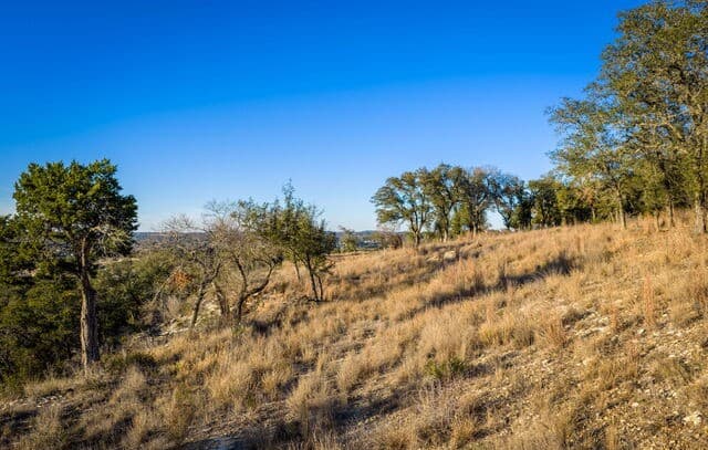 1829  Paradise Parkway, Canyon Lake, TX 78133 — photo 6