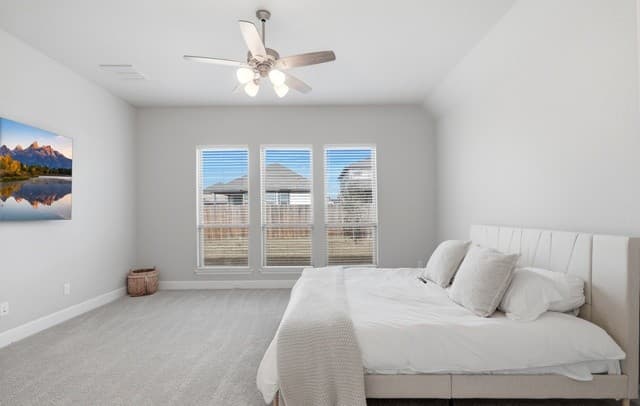 9923  Heeler Hand, San Antonio, TX 78254 — photo 21
