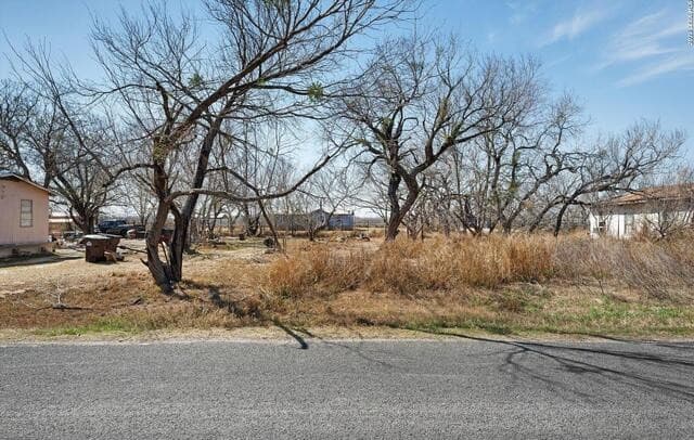 18829  Lagloria Rd, Elmendorf, TX 78112 — photo 3