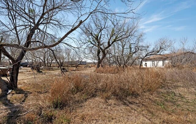 18829  Lagloria Rd, Elmendorf, TX 78112 — photo 6