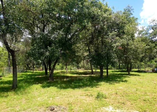 23322  Dragon Rock Rd, Elmendorf, TX 78112 — photo 2