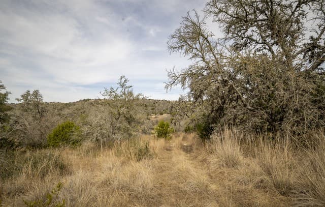 100  Stieler Valley, Comfort, TX 78013 — photo 10