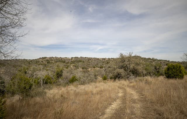 100  Stieler Valley, Comfort, TX 78013 — photo 12