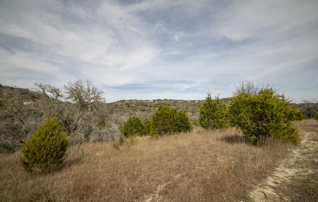 100  Stieler Valley, Comfort, TX 78013 — photo 13