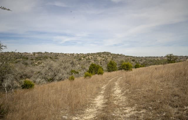 100  Stieler Valley, Comfort, TX 78013 — photo 14