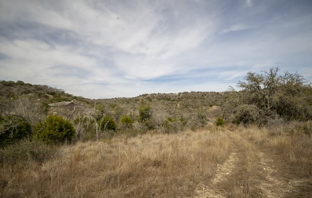 100  Stieler Valley, Comfort, TX 78013 — photo 15