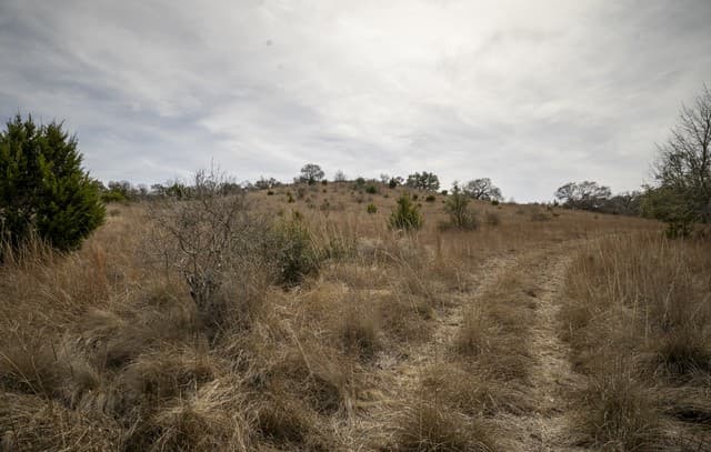 100  Stieler Valley, Comfort, TX 78013 — photo 8
