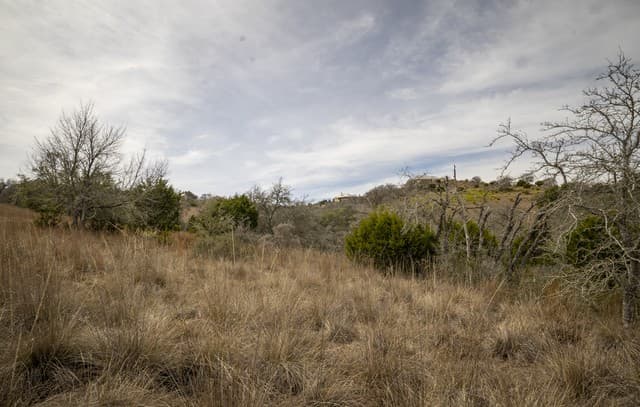 100  Stieler Valley, Comfort, TX 78013 — photo 9