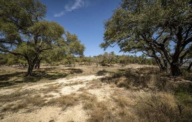 15300  State Highway 46, Spring Branch, TX 78070 — photo 24