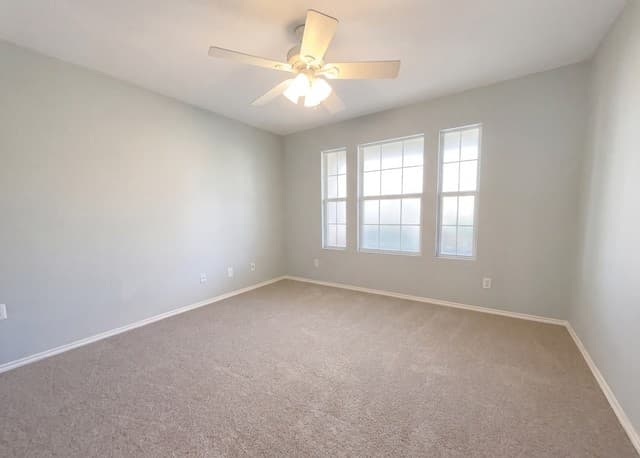 20503  Liatris, San Antonio, TX 78259 — photo 12