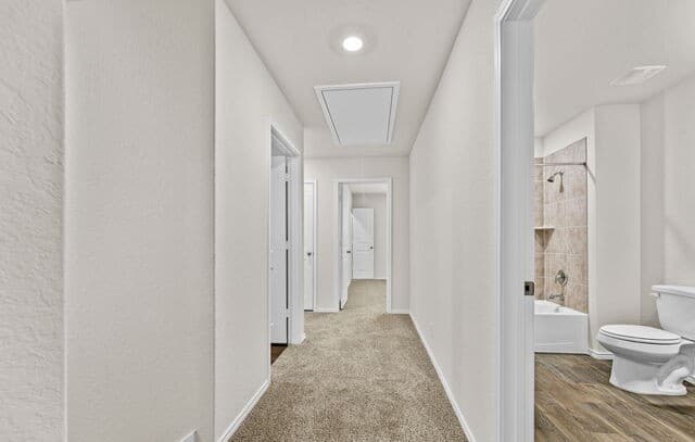 10749  Dazzle, San Antonio, TX 78252 — photo 14