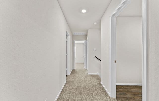 10749  Dazzle, San Antonio, TX 78252 — photo 18