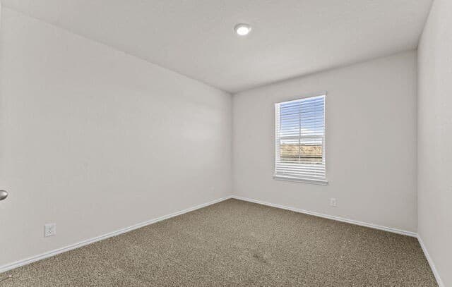 10749  Dazzle, San Antonio, TX 78252 — photo 20