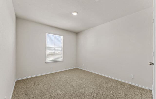 10749  Dazzle, San Antonio, TX 78252 — photo 22