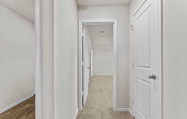 10749  Dazzle, San Antonio, TX 78252 — photo 24
