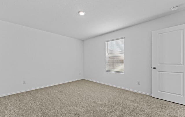 10723  Criterion, San Antonio, TX 78252 — photo 19